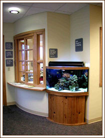 The front office reception area at South Charleston Pediatrics